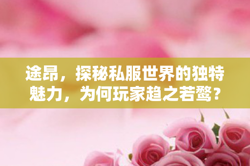 途昂,探秘私服世界的独特魅力,为何玩家趋之若鹜? 途昂,探秘私服世界的独特魅力,为何玩家趋之若鹜?