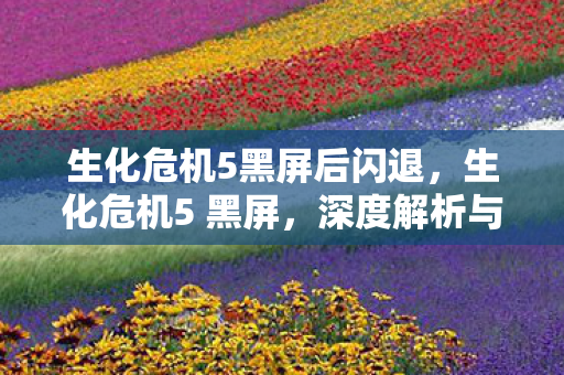 生化危机5黑屏后闪退，生化危机5 黑屏，深度解析与解决方案