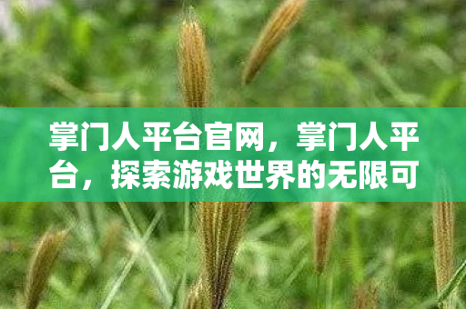 掌门人平台官网,掌门人平台,探索游戏世界的无限可能 掌门人平台官网,掌门人平台,探索游戏世界的无限可能