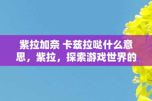 紫拉加奈 卡兹拉哒什么意思,紫拉,探索游戏世界的无限可能 紫拉加奈 卡兹拉哒什么意思,紫拉,探索游戏世界的无限可能