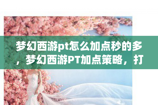 梦幻西游pt怎么加点秒的多，梦幻西游PT加点策略，打造高效辅助角色
