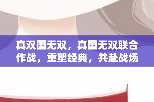 真双国无双，真国无双联合作战，重塑经典，共赴战场