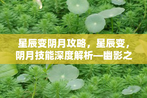 星辰变阴月攻略，星辰变，阴月技能深度解析—幽影之月的奥秘