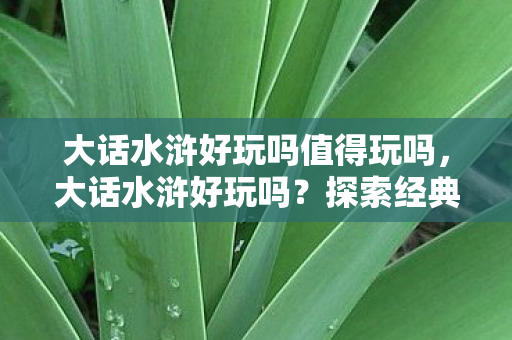 大话水浒好玩吗值得玩吗,大话水浒好玩吗?探索经典回合制游戏的魅力 大话水浒好玩吗值得玩吗,大话水浒好玩吗?探索经典回合制游戏的魅力