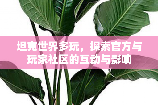 坦克世界多玩,探索官方与玩家社区的互动与影响 坦克世界多玩,探索官方与玩家社区的互动与影响