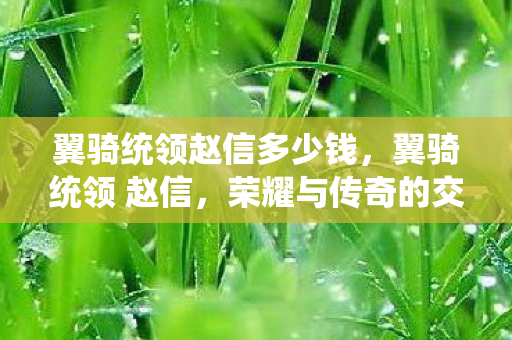 翼骑统领赵信多少钱，翼骑统领 赵信，荣耀与传奇的交织