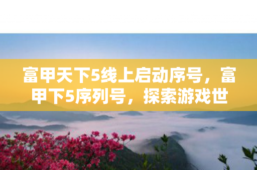 富甲天下5线上启动序号，富甲下5序列号，探索游戏世界的独特通行证