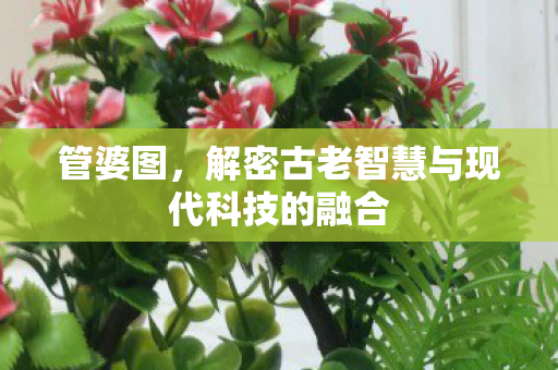 管婆图,解密古老智慧与现代科技的融合 管婆图,解密古老智慧与现代科技的融合
