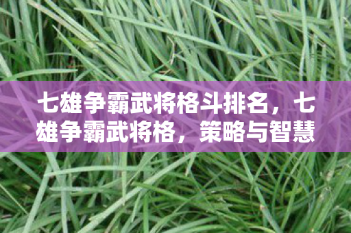 七雄争霸武将格斗排名，七雄争霸武将格，策略与智慧的碰撞