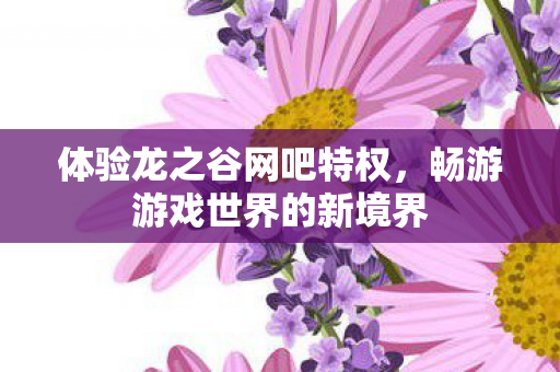 体验龙之谷网吧特权,畅游游戏世界的新境界 体验龙之谷网吧特权,畅游游戏世界的新境界