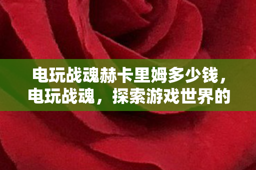 电玩战魂赫卡里姆多少钱,电玩战魂,探索游戏世界的无限可能 电玩战魂赫卡里姆多少钱,电玩战魂,探索游戏世界的无限可能