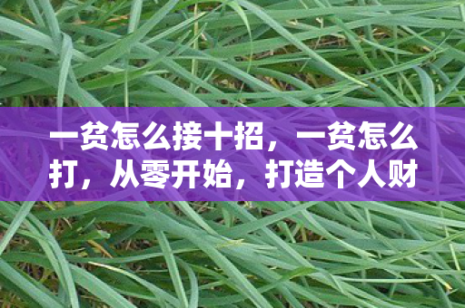 一贫怎么接十招，一贫怎么打，从零开始，打造个人财富之路