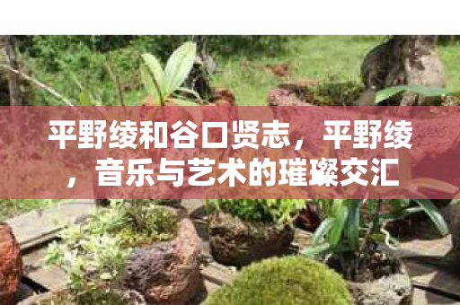 平野绫和谷口贤志，平野绫，音乐与艺术的璀璨交汇