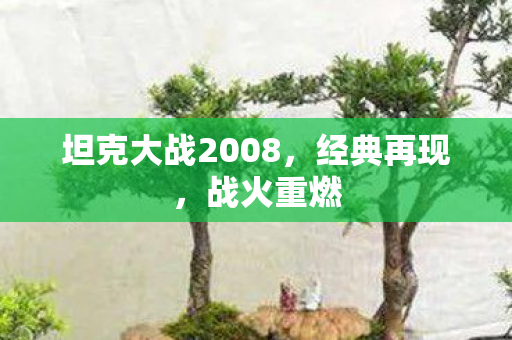 坦克大战2008,经典再现,战火重燃 坦克大战2008,经典再现,战火重燃