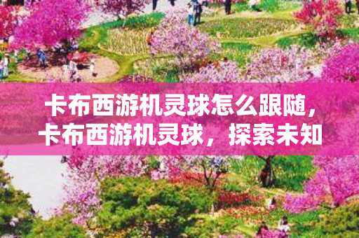 卡布西游机灵球怎么跟随,卡布西游机灵球,探索未知世界的奇妙旅程 卡布西游机灵球怎么跟随,卡布西游机灵球,探索未知世界的奇妙旅程