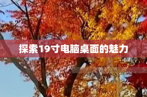 探索19寸电脑桌面的魅力 探索19寸电脑桌面的魅力