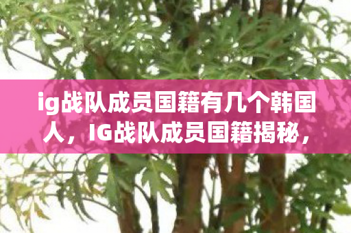 ig战队成员国籍有几个韩国人，IG战队成员国籍揭秘，多元文化的碰撞与融合