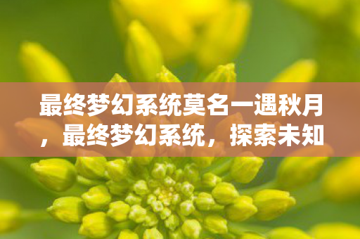 最终梦幻系统莫名一遇秋月,最终梦幻系统,探索未知世界的奇幻之旅 最终梦幻系统莫名一遇秋月,最终梦幻系统,探索未知世界的奇幻之旅