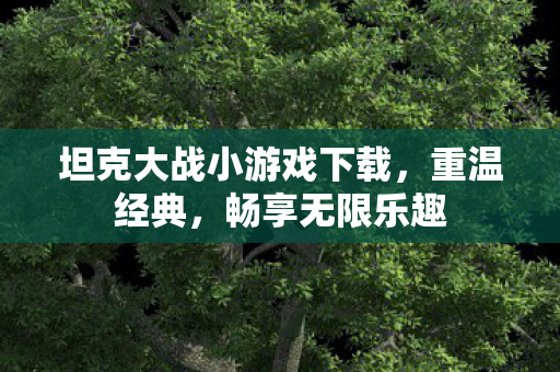 坦克大战小游戏下载,重温经典,畅享无限乐趣 坦克大战小游戏下载,重温经典,畅享无限乐趣