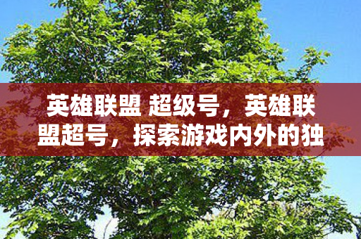英雄联盟 超级号，英雄联盟超号，探索游戏内外的独特魅力