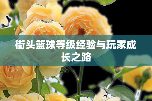 街头篮球等级经验与玩家成长之路 街头篮球等级经验与玩家成长之路
