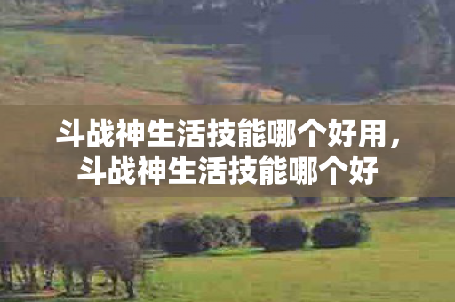 斗战神生活技能哪个好用，斗战神生活技能哪个好