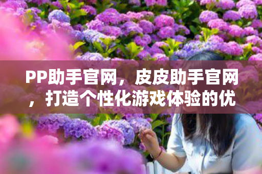 PP助手官网，皮皮助手官网，打造个性化游戏体验的优选平台