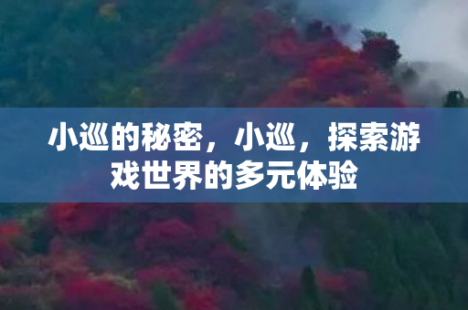 小巡的秘密，小巡，探索游戏世界的多元体验