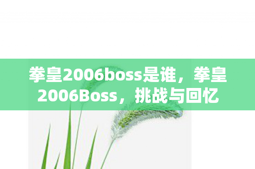 拳皇2006boss是谁,拳皇2006Boss,挑战与回忆 拳皇2006boss是谁,拳皇2006Boss,挑战与回忆