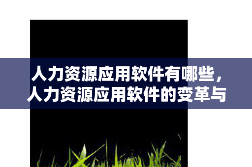 人力资源应用软件有哪些，人力资源应用软件的变革与未来趋势