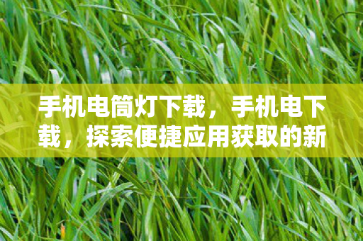 手机电筒灯下载,手机电下载,探索便捷应用获取的新途径 手机电筒灯下载,手机电下载,探索便捷应用获取的新途径
