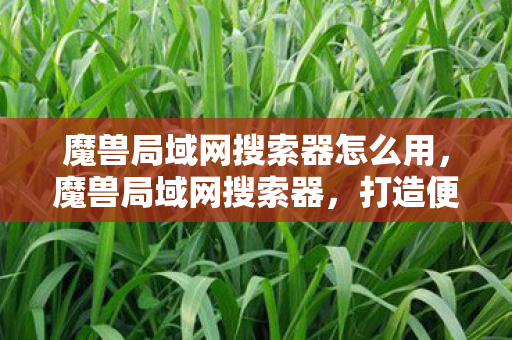 魔兽局域网搜索器怎么用,魔兽局域网搜索器,打造便捷的游戏体验 魔兽局域网搜索器怎么用,魔兽局域网搜索器,打造便捷的游戏体验