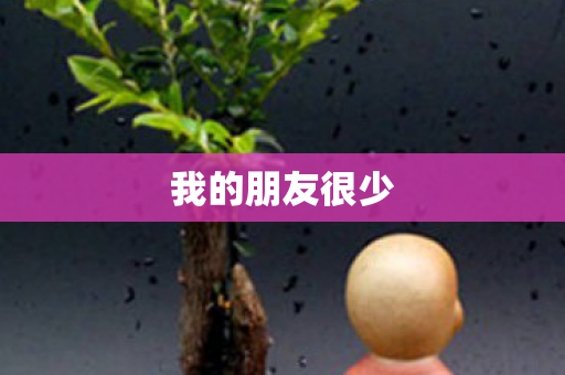 我的朋友很少 我的朋友很少
