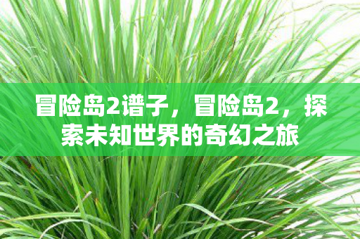 冒险岛2谱子,冒险岛2,探索未知世界的奇幻之旅 冒险岛2谱子,冒险岛2,探索未知世界的奇幻之旅