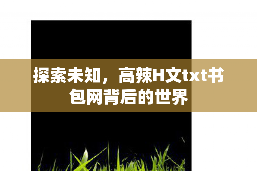 探索未知,高辣H文txt书包网背后的世界 探索未知,高辣H文txt书包网背后的世界