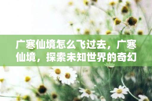 广寒仙境怎么飞过去，广寒仙境，探索未知世界的奇幻之旅