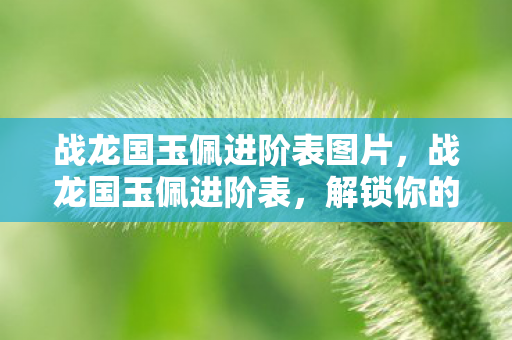 战龙国玉佩进阶表图片，战龙国玉佩进阶表，解锁你的传奇之路