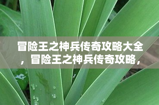 冒险王之神兵传奇攻略大全,冒险王之神兵传奇攻略,打造最强角色的秘密 冒险王之神兵传奇攻略大全,冒险王之神兵传奇攻略,打造最强角色的秘密