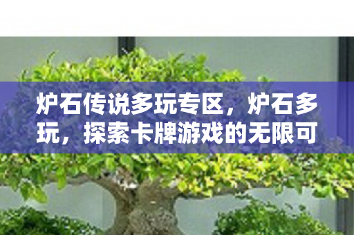 炉石传说多玩专区,炉石多玩,探索卡牌游戏的无限可能 炉石传说多玩专区,炉石多玩,探索卡牌游戏的无限可能