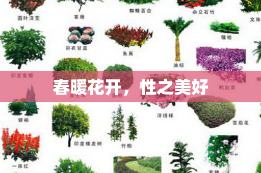 春暖花开,性之美好 春暖花开,性之美好