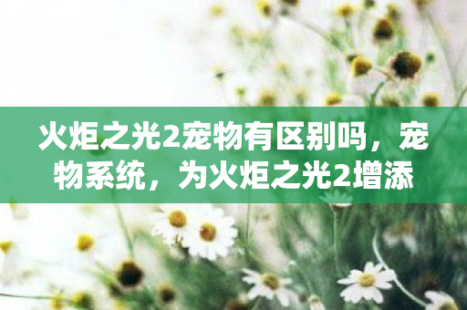 火炬之光2宠物有区别吗，宠物系统，为火炬之光2增添无限乐趣
