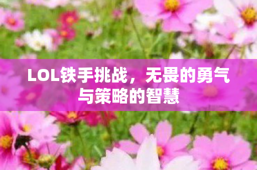 LOL铁手挑战,无畏的勇气与策略的智慧 LOL铁手挑战,无畏的勇气与策略的智慧