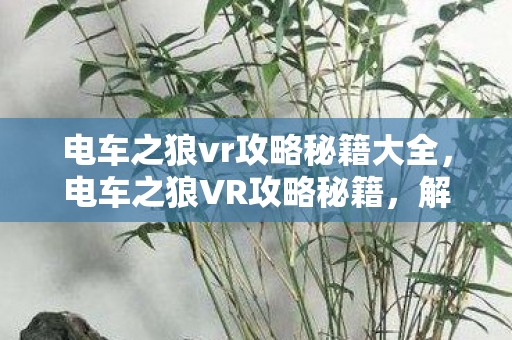 电车之狼vr攻略秘籍大全，电车之狼VR攻略秘籍，解锁隐藏剧情与角色互动