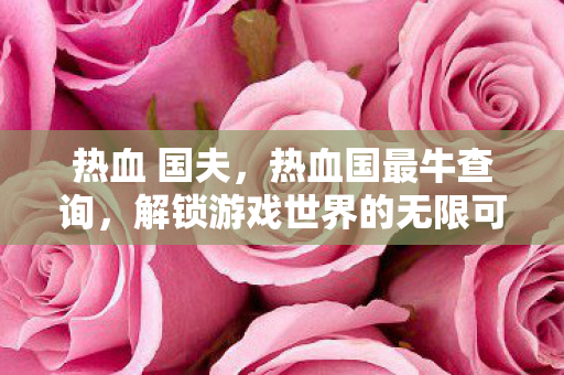 热血 国夫，热血国最牛查询，解锁游戏世界的无限可能