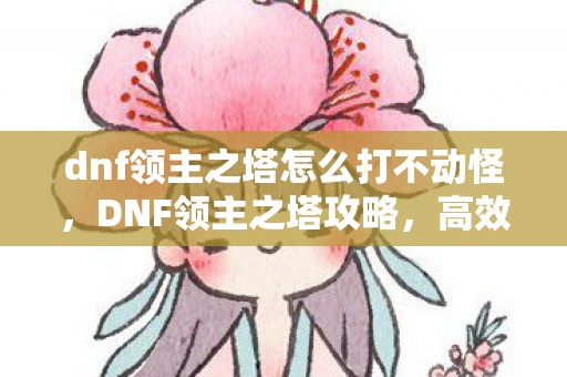 dnf领主之塔怎么打不动怪,DNF领主之塔攻略,高效通关技巧与策略 dnf领主之塔怎么打不动怪,DNF领主之塔攻略,高效通关技巧与策略