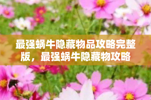 最强蜗牛隐藏物品攻略完整版，最强蜗牛隐藏物攻略