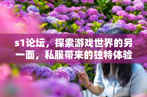 s1论坛,探索游戏世界的另一面,私服带来的独特体验与机遇 s1论坛,探索游戏世界的另一面,私服带来的独特体验与机遇