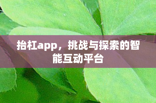 抬杠app,挑战与探索的智能互动平台 抬杠app,挑战与探索的智能互动平台