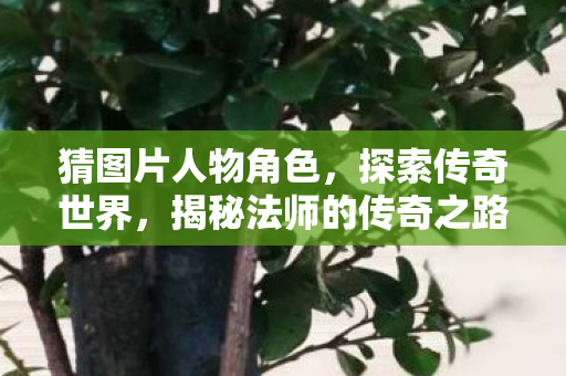 猜图片人物角色，探索传奇世界，揭秘法师的传奇之路