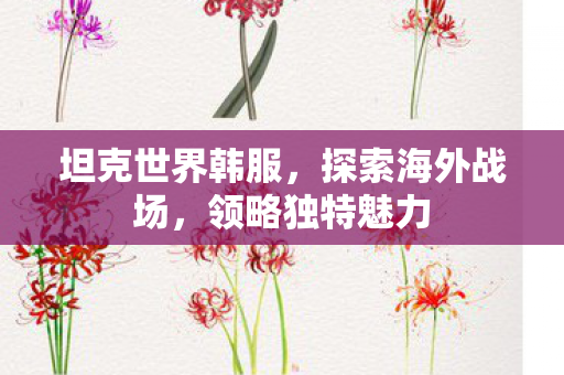 坦克世界韩服,探索海外战场,领略独特魅力 坦克世界韩服,探索海外战场,领略独特魅力